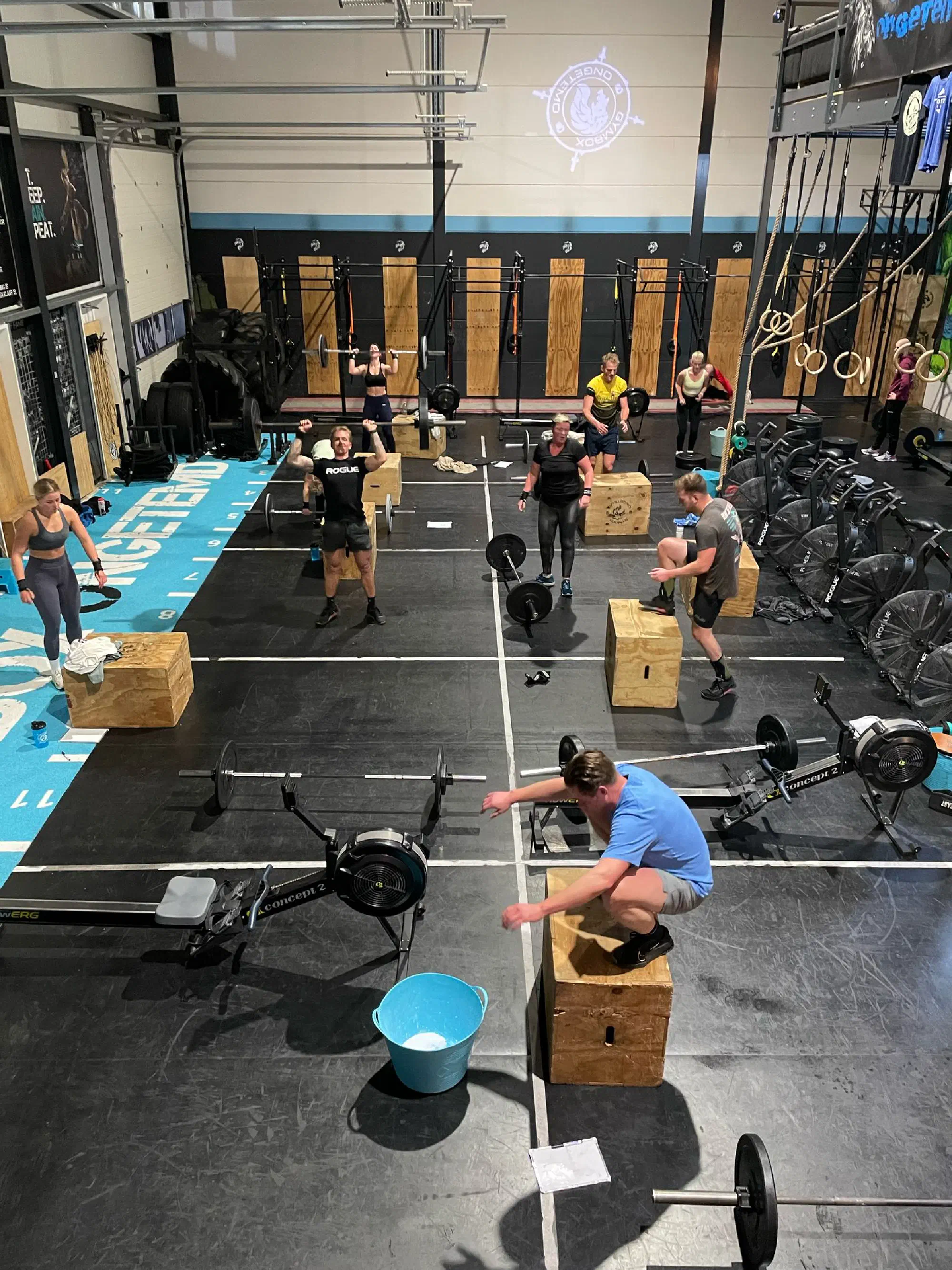 Trainingsruimte met rig, halters en gewichten bij Gymbox Ongetemd in Winkel